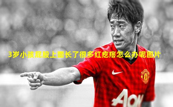 3岁小孩屁股上面长了很多红疙瘩怎么办呢图片