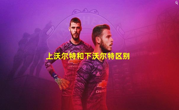 上沃尔特和下沃尔特区别