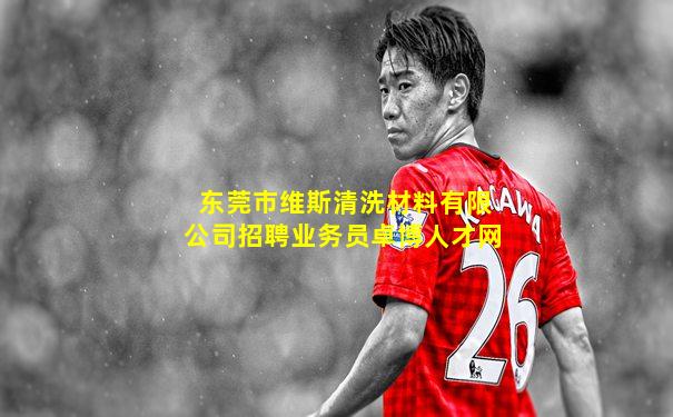 东莞市维斯清洗材料有限公司招聘业务员卓博人才网
