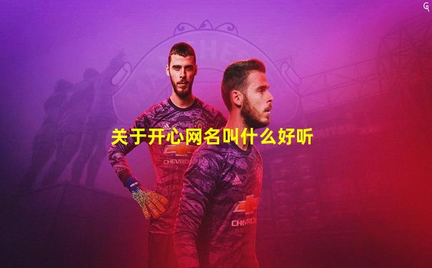 关于开心网名叫什么好听