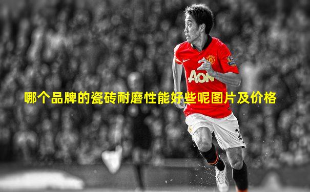 哪个品牌的瓷砖耐磨性能好些呢图片及价格