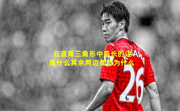 在直角三角形中最长的边是什么其余两边都称为什么