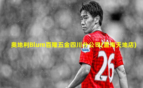 奥地利Blum百隆五金四川分公司(蓝海天地店)