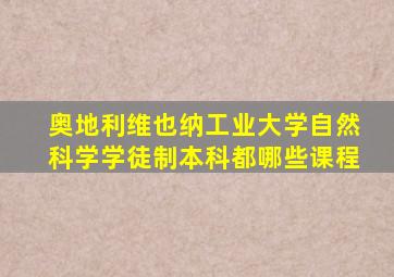 奥地利维也纳工业大学自然科学学徒制本科都哪些课程