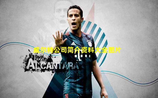 威尔特公司简介资料大全图片