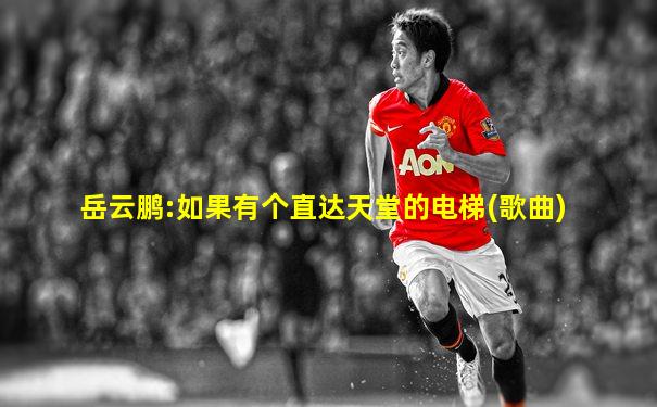 岳云鹏:如果有个直达天堂的电梯(歌曲)