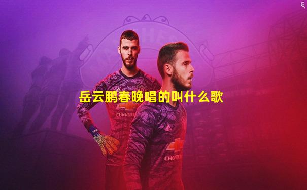 岳云鹏春晚唱的叫什么歌