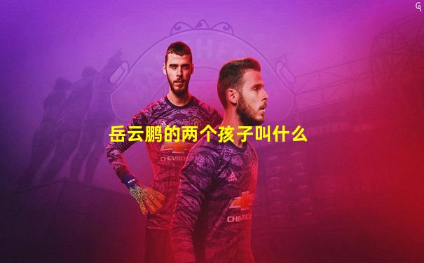 岳云鹏的两个孩子叫什么