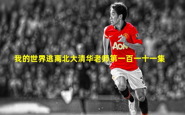我的世界逃离北大清华老师第一百一十一集