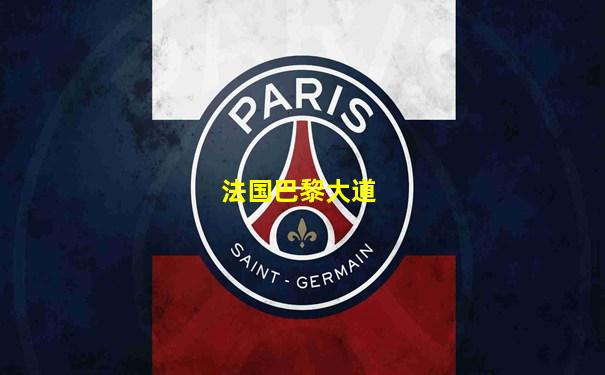 法国巴黎大道