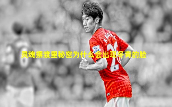 灵魂摆渡里秘密为什么会出现冬青的脸