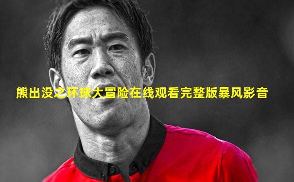 熊出没之环球大冒险在线观看完整版暴风影音