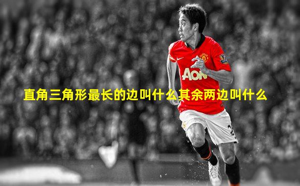 直角三角形最长的边叫什么其余两边叫什么