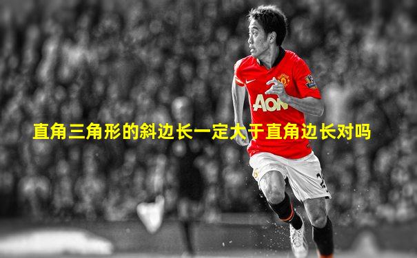 直角三角形的斜边长一定大于直角边长对吗