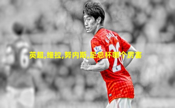 英超,维拉,努内斯,足总杯哪个厉害