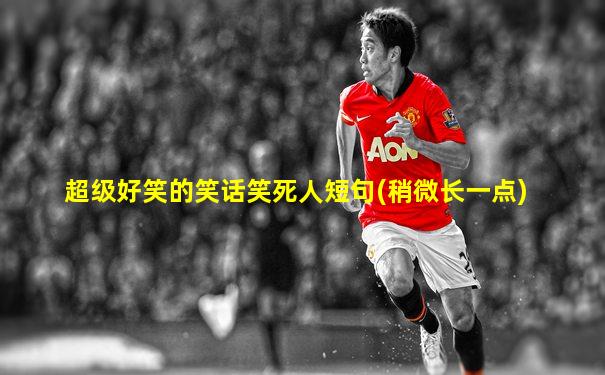 超级好笑的笑话笑死人短句(稍微长一点)