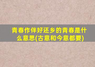 青春作伴好还乡的青春是什么意思(古意和今意都要)