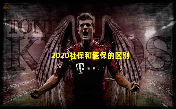 2020社保和医保的区别