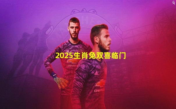 2025生肖兔双喜临门