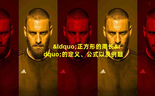 “正方形的周长”的定义、公式以及例题
