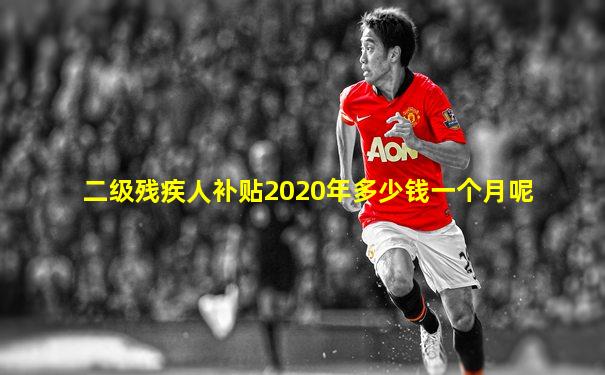 二级残疾人补贴2020年多少钱一个月呢