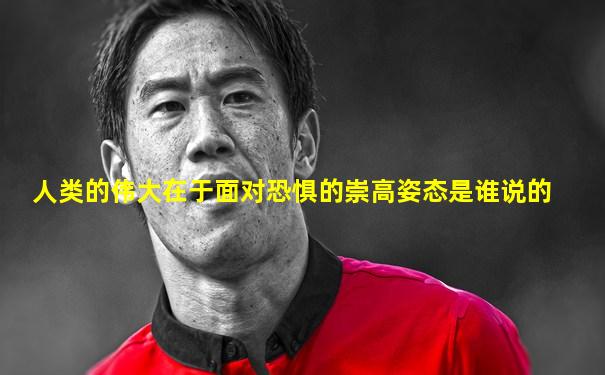 人类的伟大在于面对恐惧的崇高姿态是谁说的