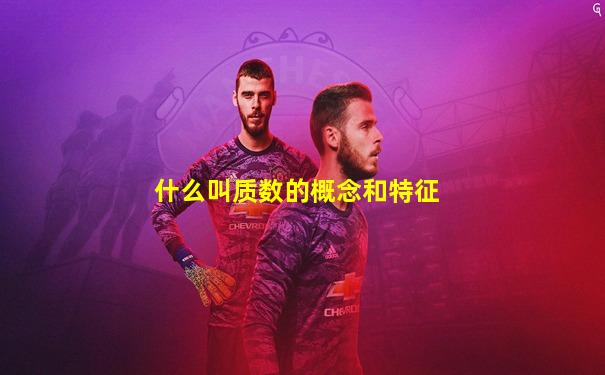 什么叫质数的概念和特征
