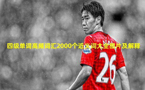 四级单词高频词汇2000个近义词大全图片及解释