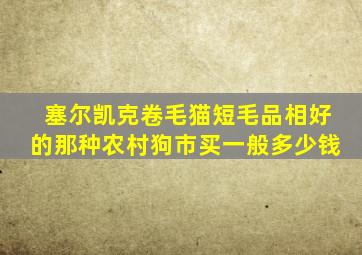塞尔凯克卷毛猫短毛品相好的那种农村狗市买一般多少钱