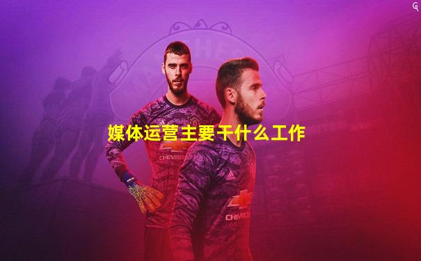 媒体运营主要干什么工作