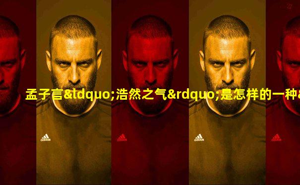 孟子言“浩然之气”是怎样的一种“气”