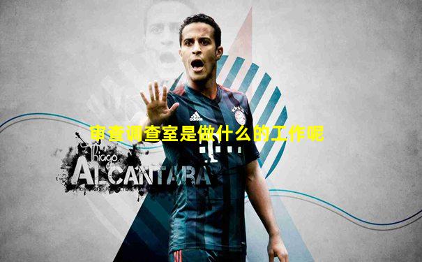 审查调查室是做什么的工作呢