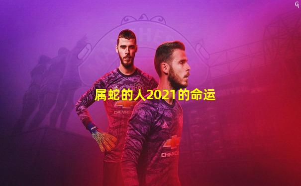 属蛇的人2021的命运