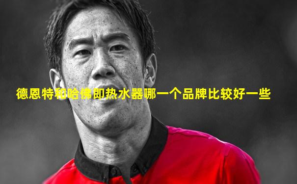 德恩特和哈佛即热水器哪一个品牌比较好一些