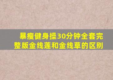 暴瘦健身操30分钟全套完整版金线莲和金线草的区别