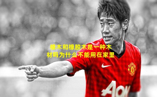 橡木和橡胶木是一种木材吗为什么不能用在家里