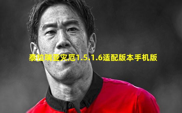 泰拉瑞亚灾厄1.5.1.6适配版本手机版