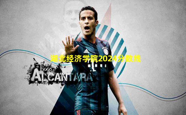 湖北经济学院2024分数线