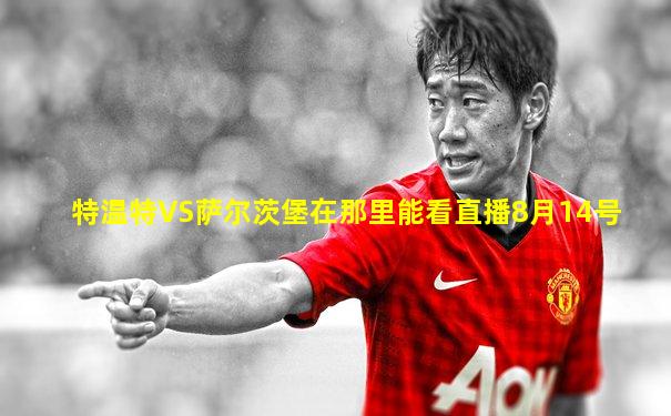 特温特VS萨尔茨堡在那里能看直播8月14号