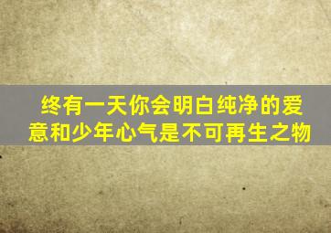 终有一天你会明白纯净的爱意和少年心气是不可再生之物
