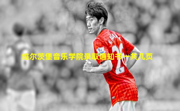 维尔茨堡音乐学院录取通知书一共几页