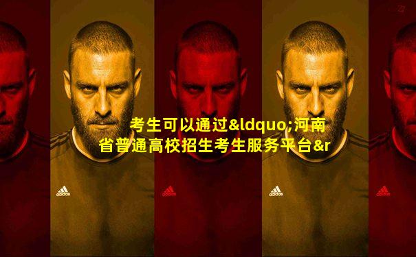 考生可以通过“河南省普通高校招生考生服务平台”