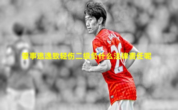 肇事逃逸致轻伤二级负什么法律责任呢