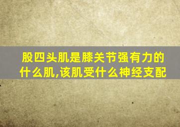 股四头肌是膝关节强有力的什么肌,该肌受什么神经支配