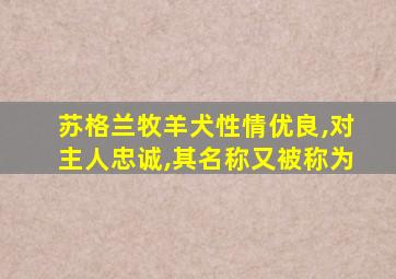 苏格兰牧羊犬性情优良,对主人忠诚,其名称又被称为