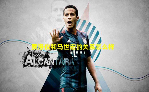 贾洛仪和马世宏的关系怎么样