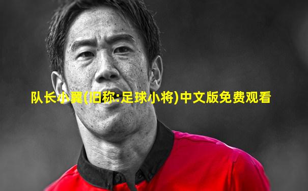 队长小翼(旧称:足球小将)中文版免费观看