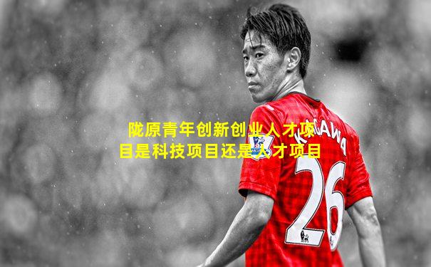 陇原青年创新创业人才项目是科技项目还是人才项目