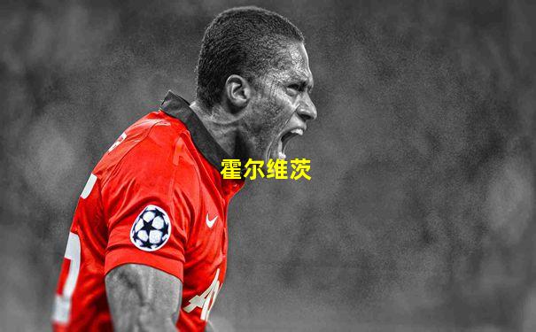 霍尔维茨