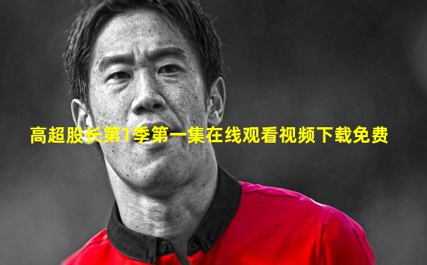 高超股长第1季第一集在线观看视频下载免费